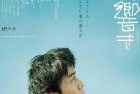 [电影] 2021年日本爱情片《草之韵》BD日语中字