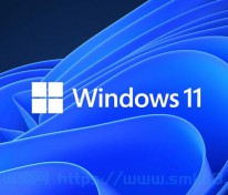 [Windows11] Win11 v23H2(22631.2506) 不忘初心纯净版