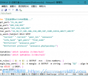 [文本编辑] Notepad2_v4.23.03(r4734) 简体中文绿色版