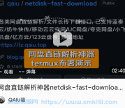 [网盘解析] 推荐一款开源的网盘直链解析工具 netdisk-fast-download