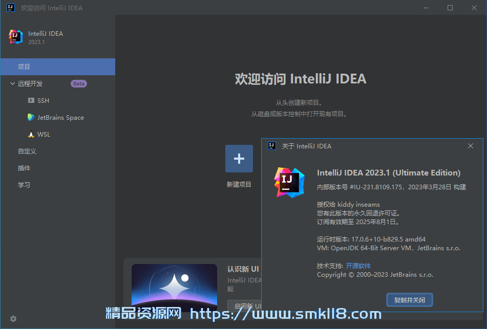 [编程开发] IntelliJ IDEA 2023.2.4 IDea2023中文激活版